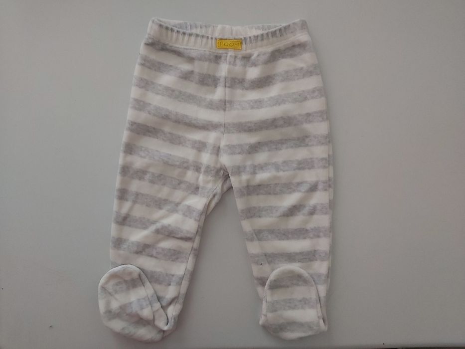 Półśpiochy rozm. 74