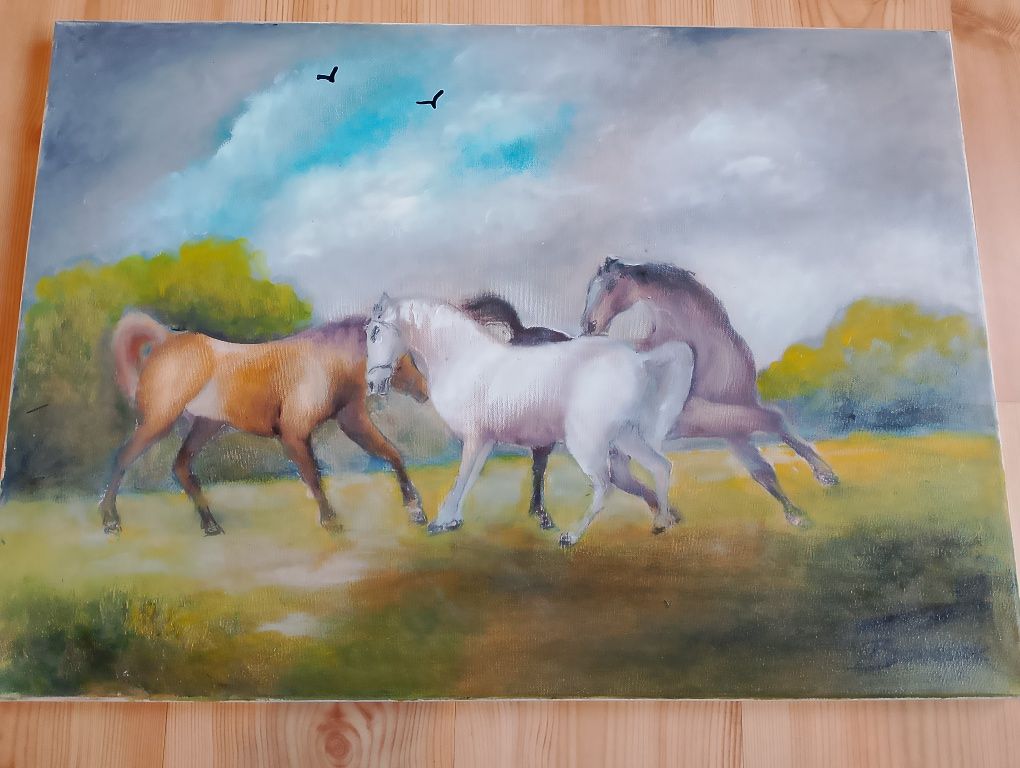 Obrazy malowane na płótnie 70/50 cm Natura