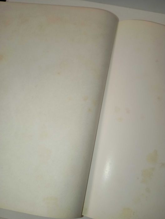 Cavalo Lusitano - O Filho do Vento