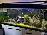 Sprzedam akwarium 450l wraz z dodatkami