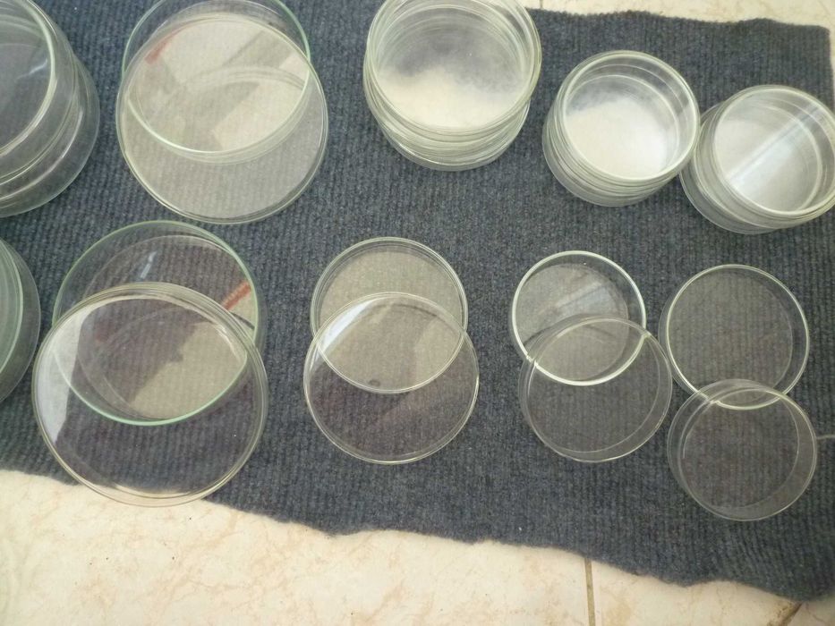 Placas de Petri  de vidro borosilicato 100mm,  80 mm, 70 mm