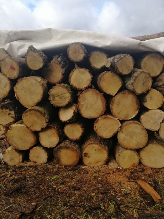 Drewno opałowe - suche wałki dębowe oraz sosnowe! Możliwy transport