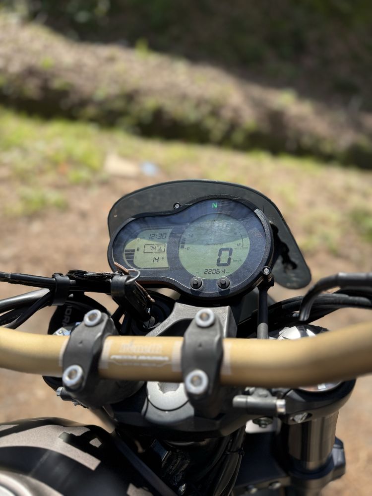 Benelli Leoncino 500