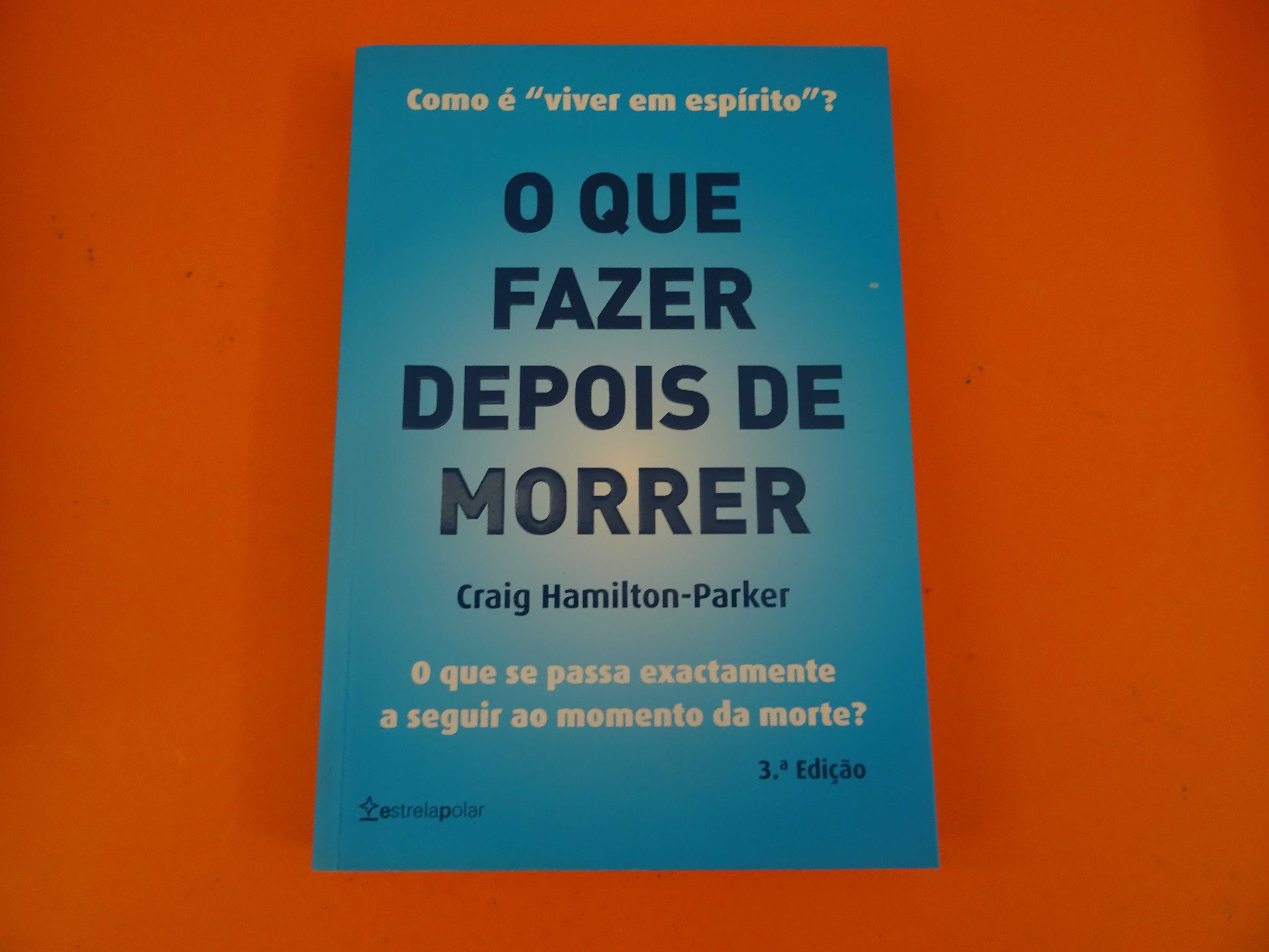 O que fazer depois de morrer -   Craig Hamilton-Parker