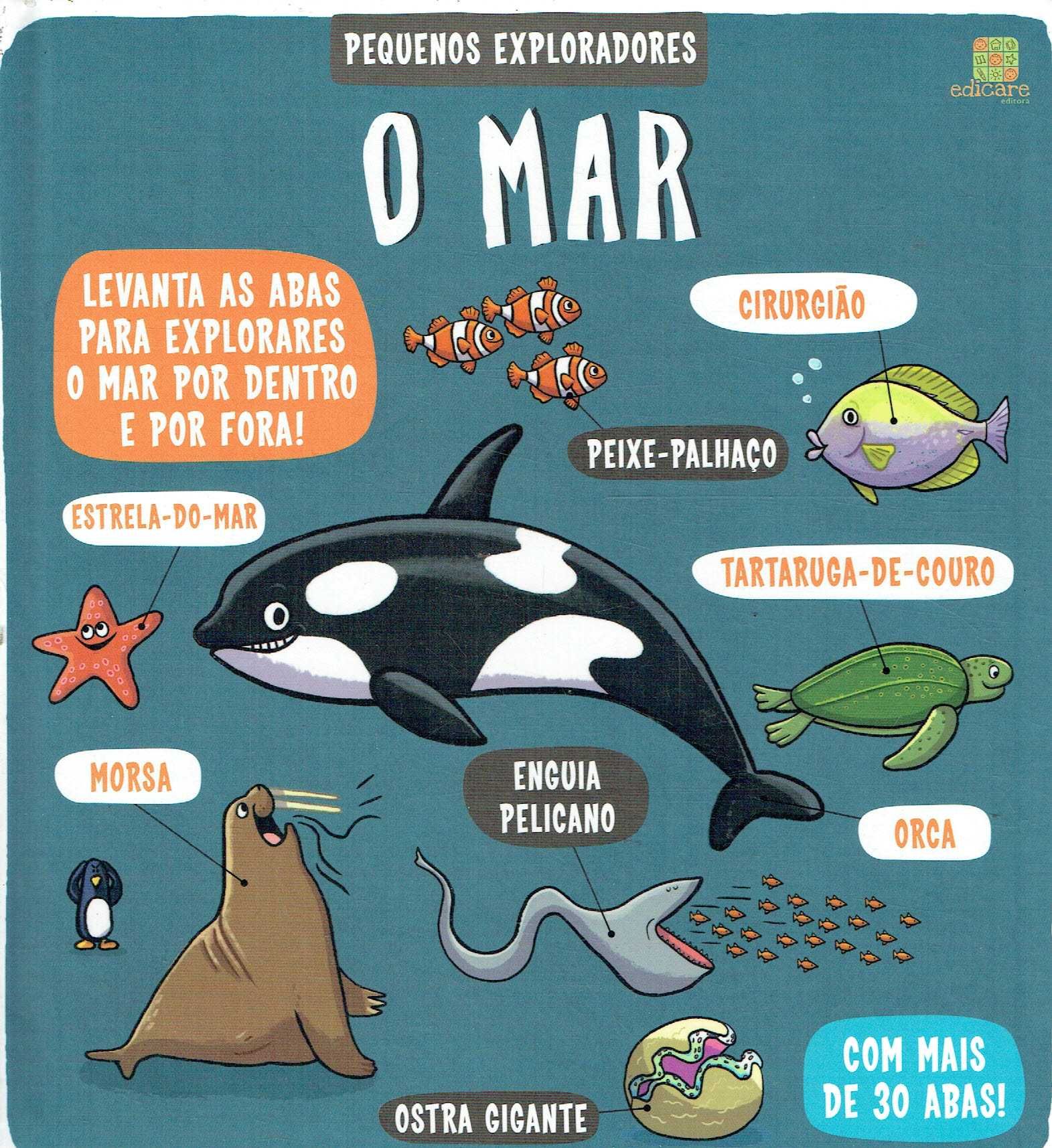 9603

O Mar
Edicare Editora