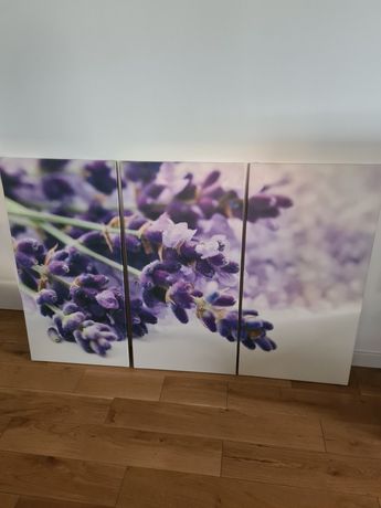 Obraz na płótnie 100x150 tryptyk kwiaty druk cyfrowy szafirki kurier