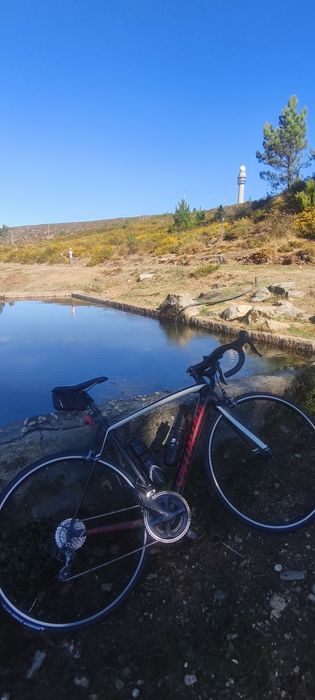 Specialized Tarmac Sl4 Full Ultegra Carbono