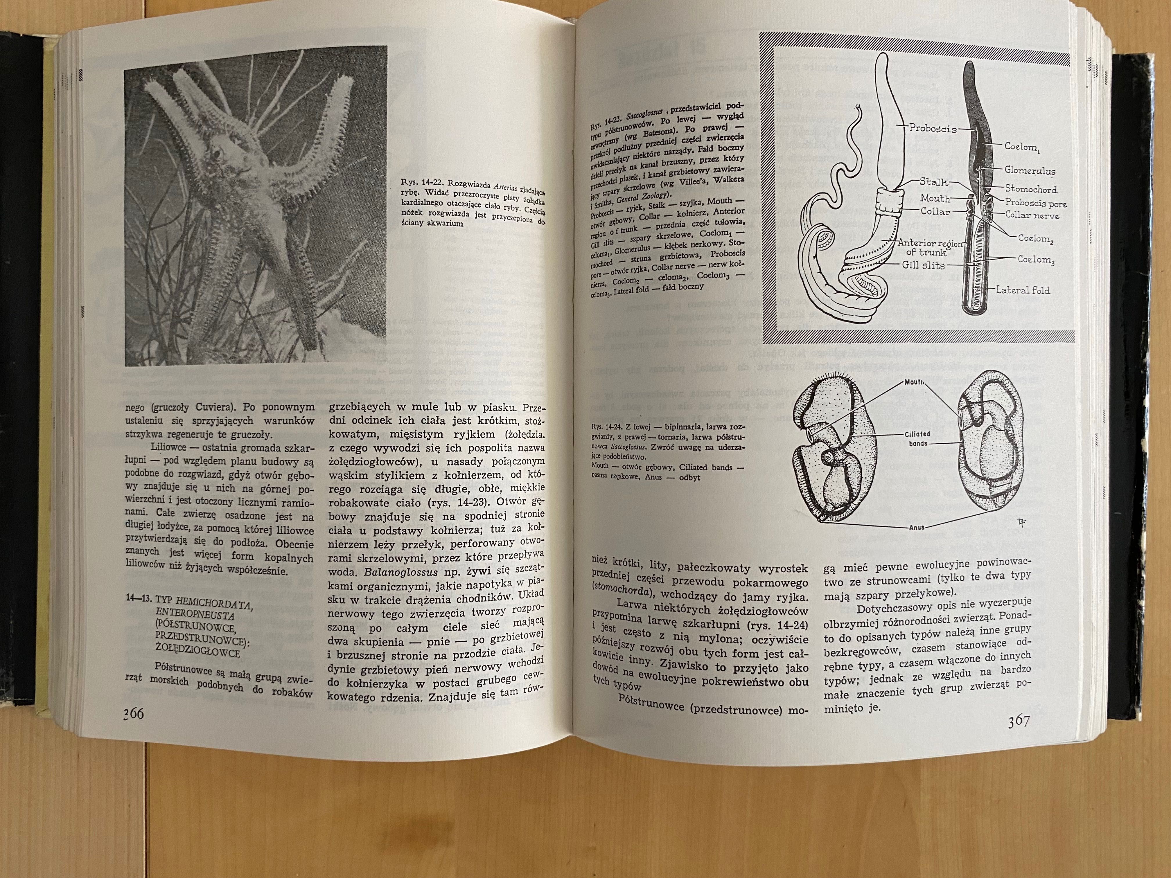 Biologia Claude A. Ville