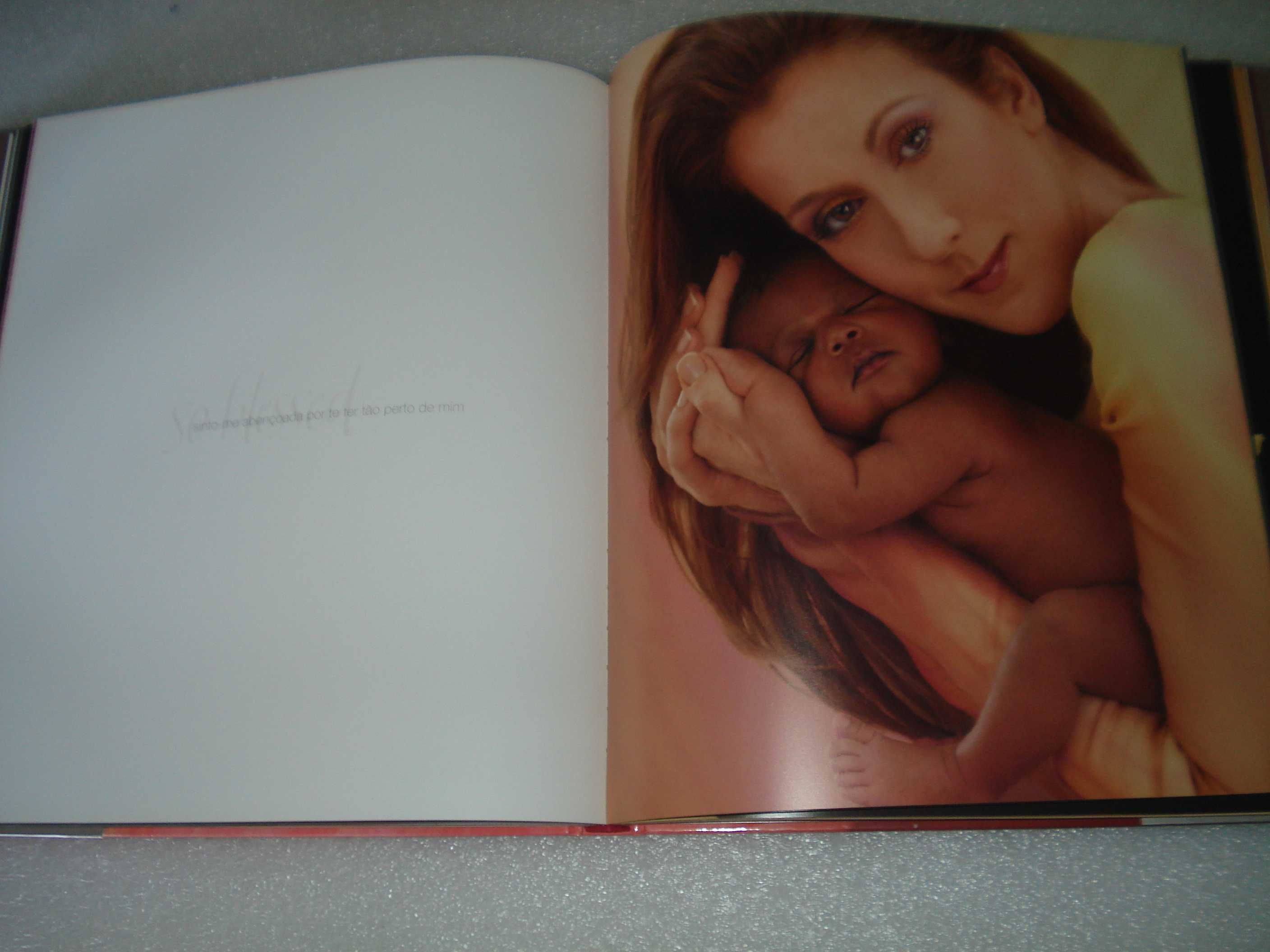 Raro livro de grandes dimensões de Celine Dion - Milagre -2004