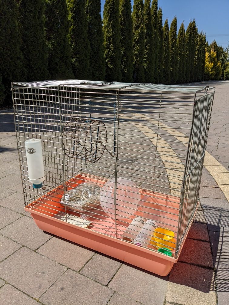 Klatka Dla Gryzonia Z Wyposażeniem
