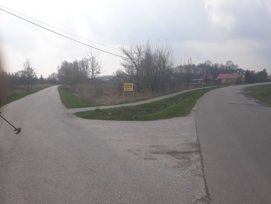 Ferma drobiu w Żarówce - Sprzedam brojlery, kurczaki