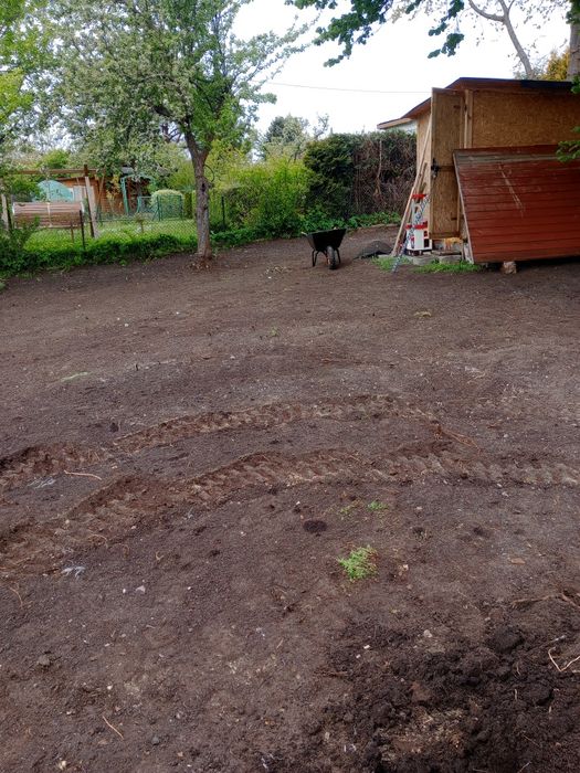 Mini koparka wynajem z transportem