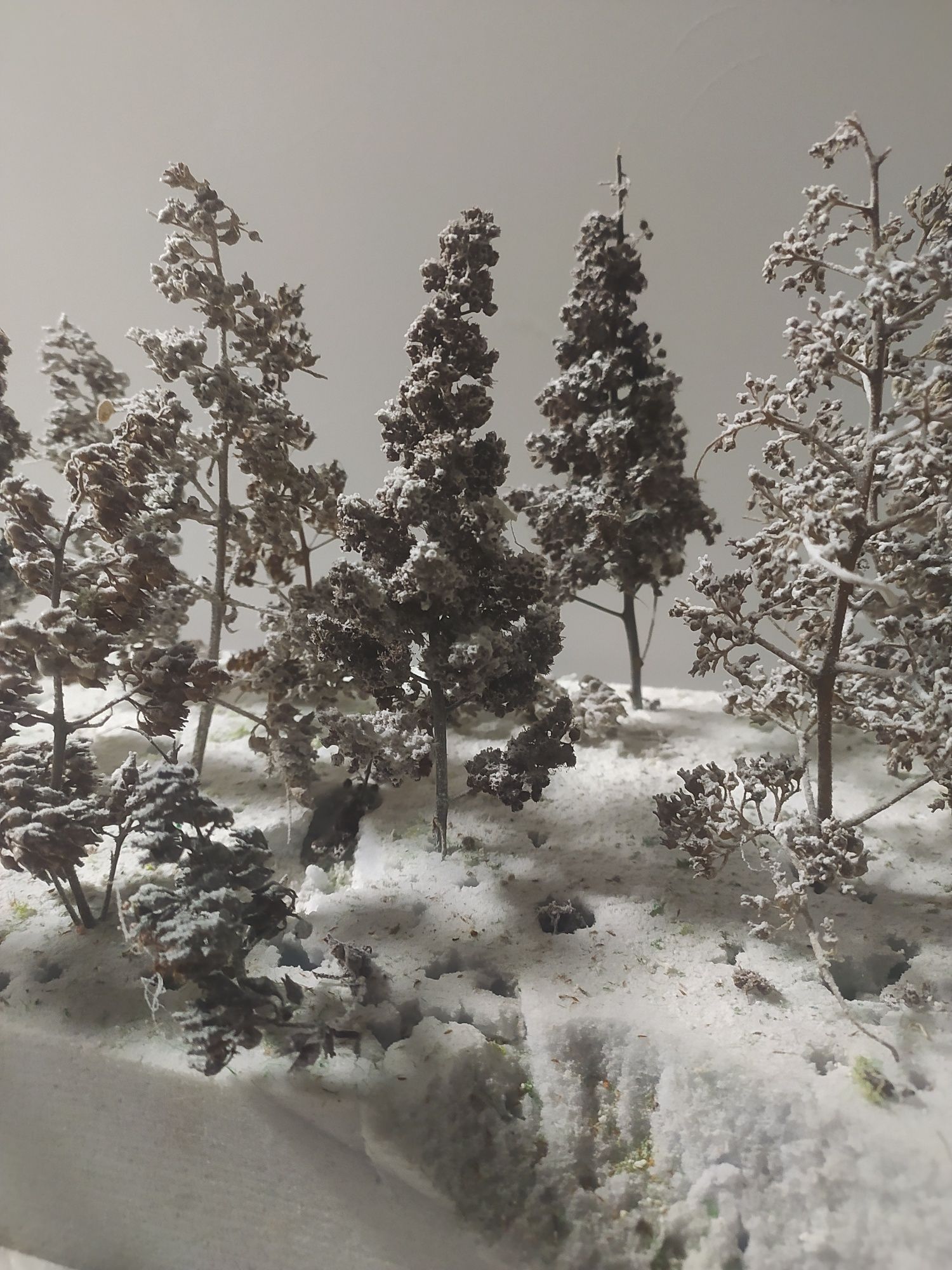 Drzewka na makietę  18 cm- iglaki zimowe - zestaw