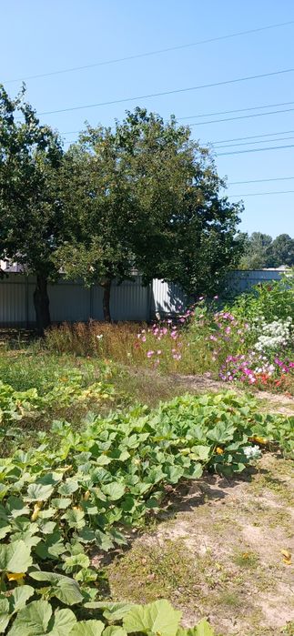 Продам   будинок