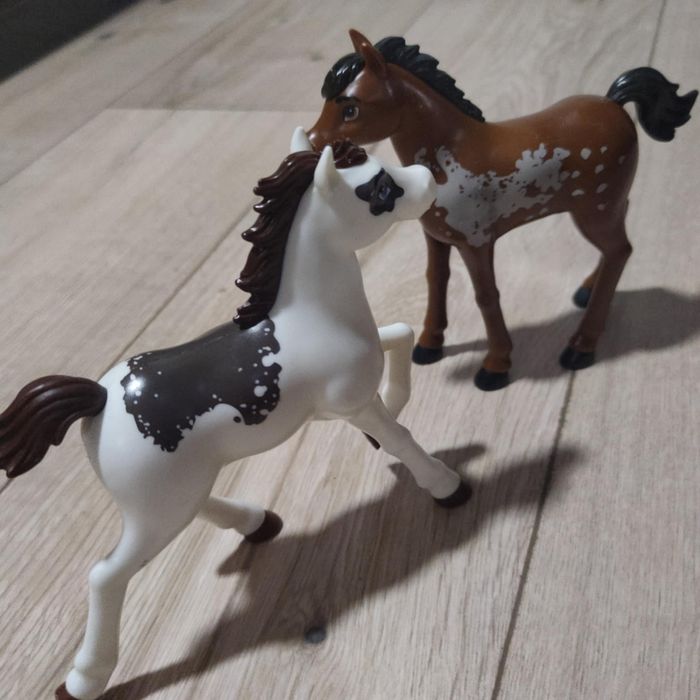 Dwa koniki spirit Mustang duch wolności