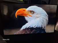 Samsung Smart TV 55 " 4k UHD Tizen