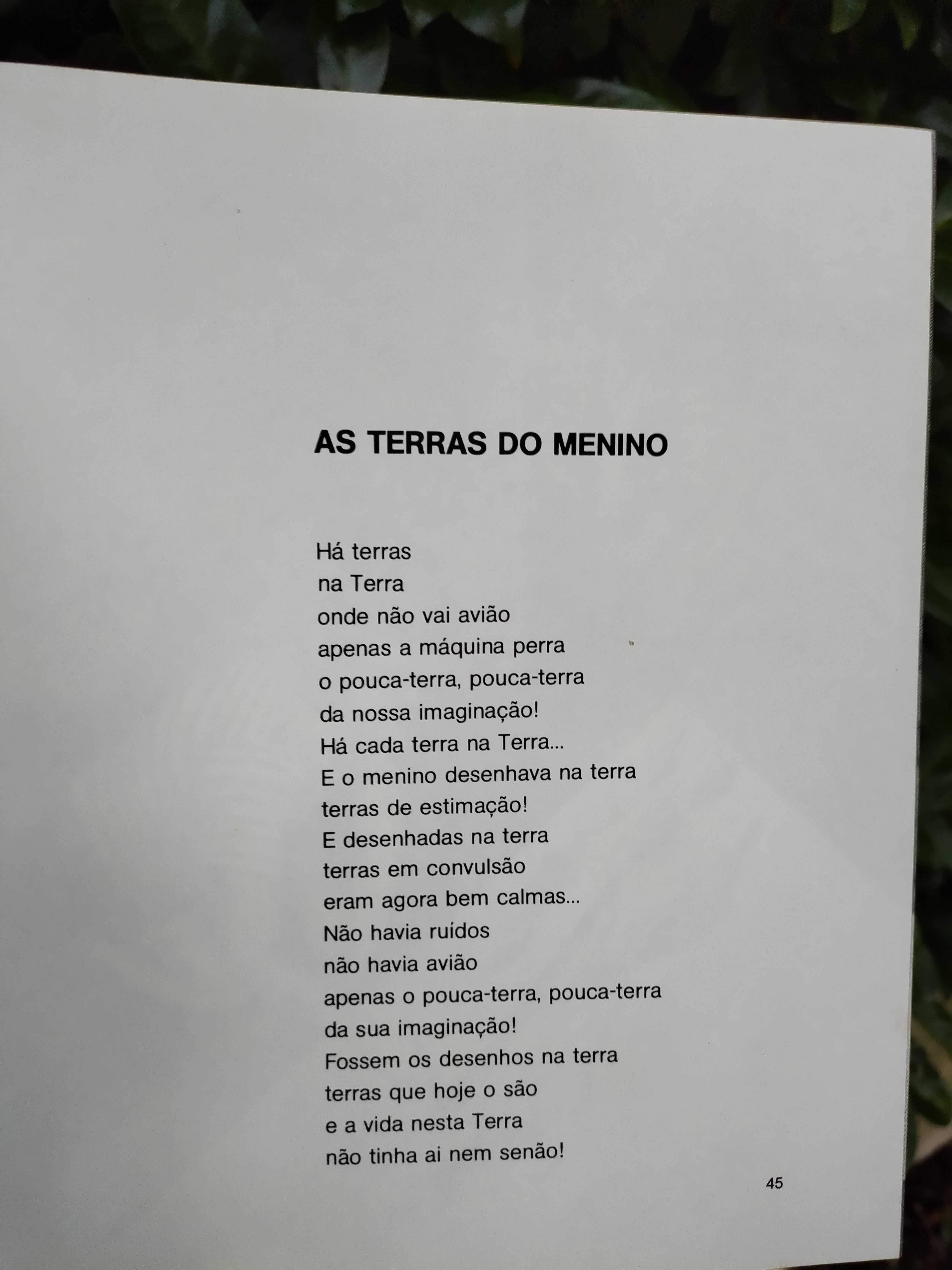 Ser Criança (António Manuel de Castro) | [Poesia]