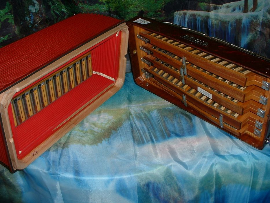 Acordeão Avenda G, .289