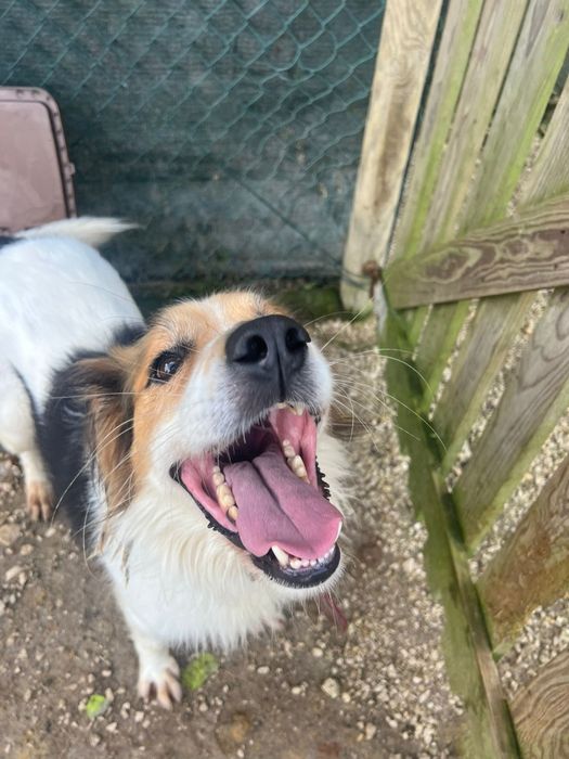 Menino independente e amigo seu amigo