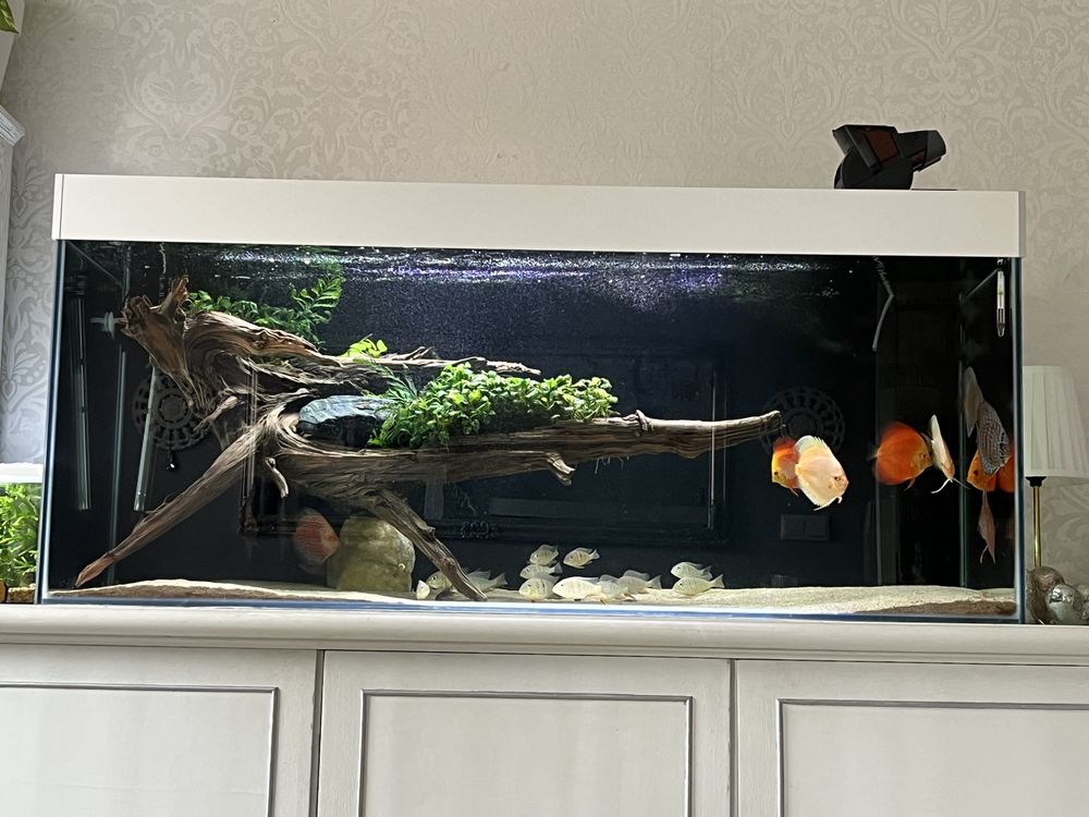 Akwarium full opti, 135x50x55