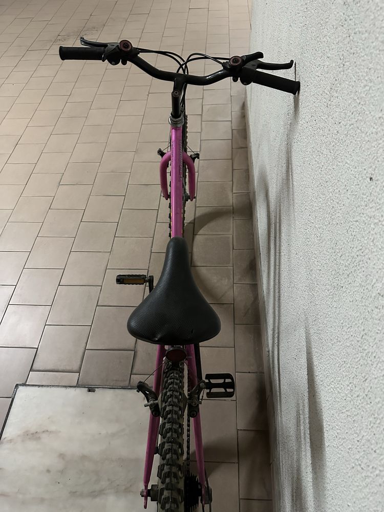 Bicicleta de adulto rosa