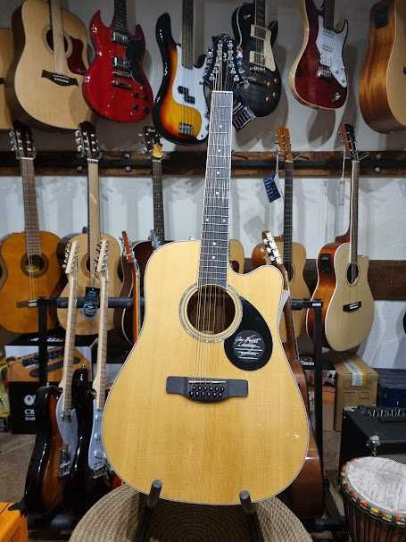 Samick GD112SCE 12-strunowa gitara elektroakustyczna Greg Bennett