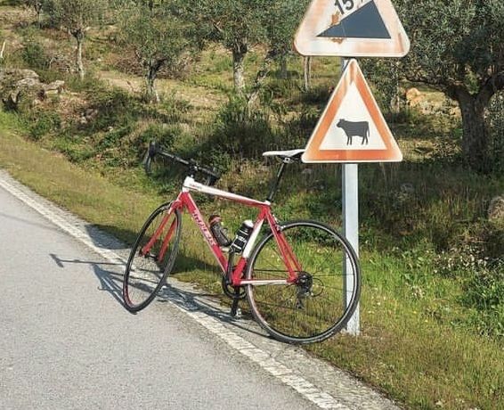 vendo bicicleta de estrada trek