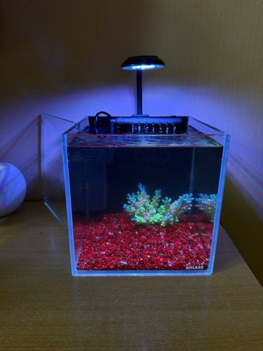 Аквариумный копмлект aGLASS Nano из сверхпрозрачного стекла (17*17*17)