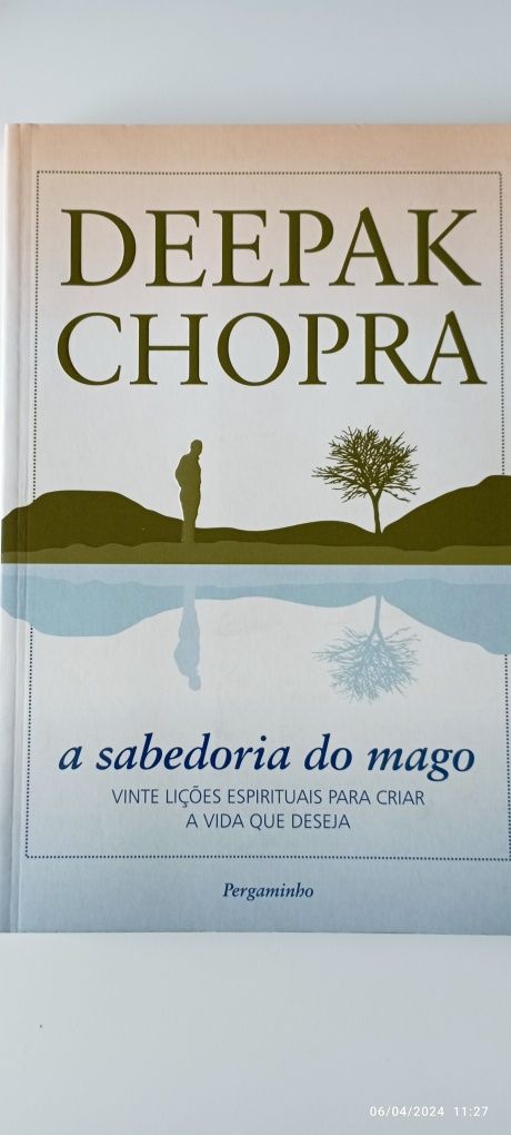 A Sabedoria do Mago livro