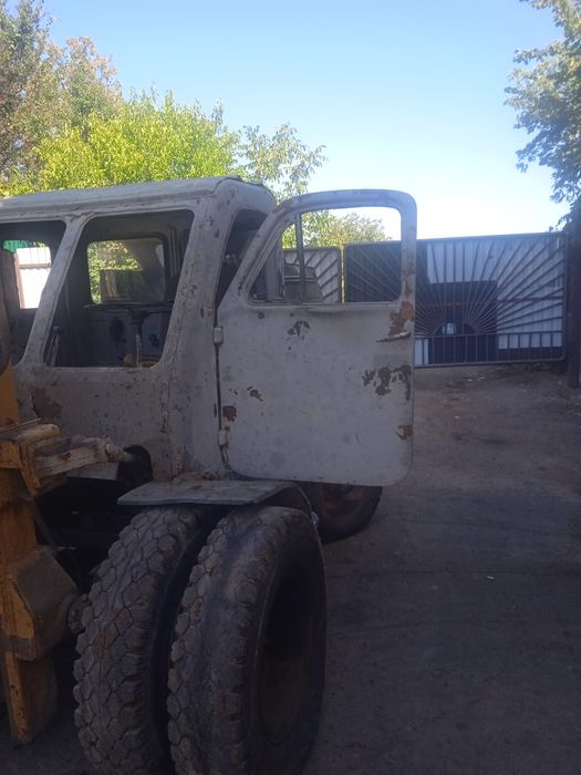 Погрущик пититоний