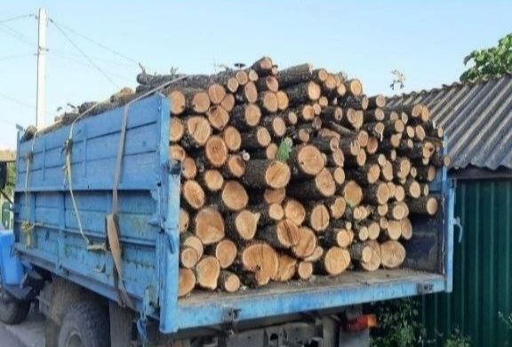 Дрова ДУБОВІ! Безкоштовна доставка. Гостомель. 3/5/7/10/24 Ск/м