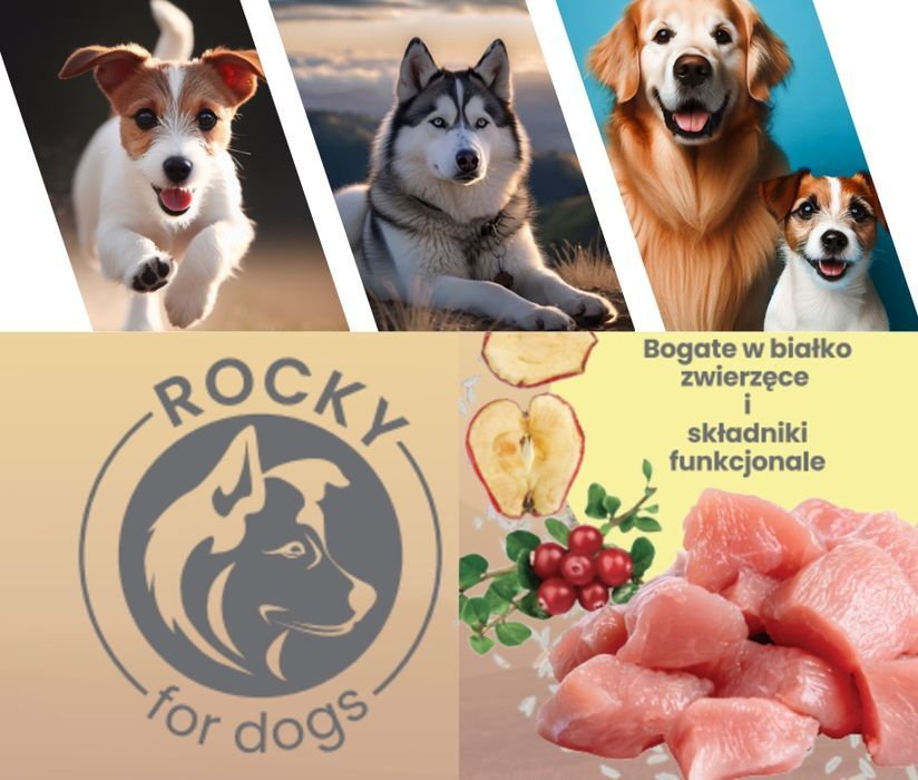 Sucha Karma Dla Psa Rocky Premium 20 Kg - Kurczak I Ryż Bezzbożowa