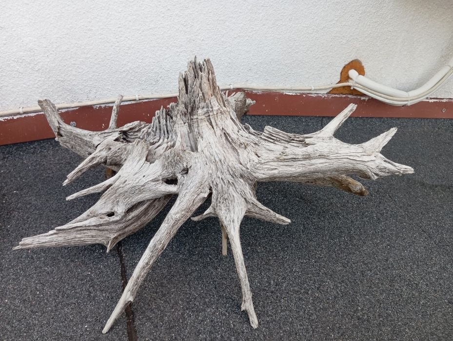 Korzenie do akwarium cd ,terrarium duży wybór !