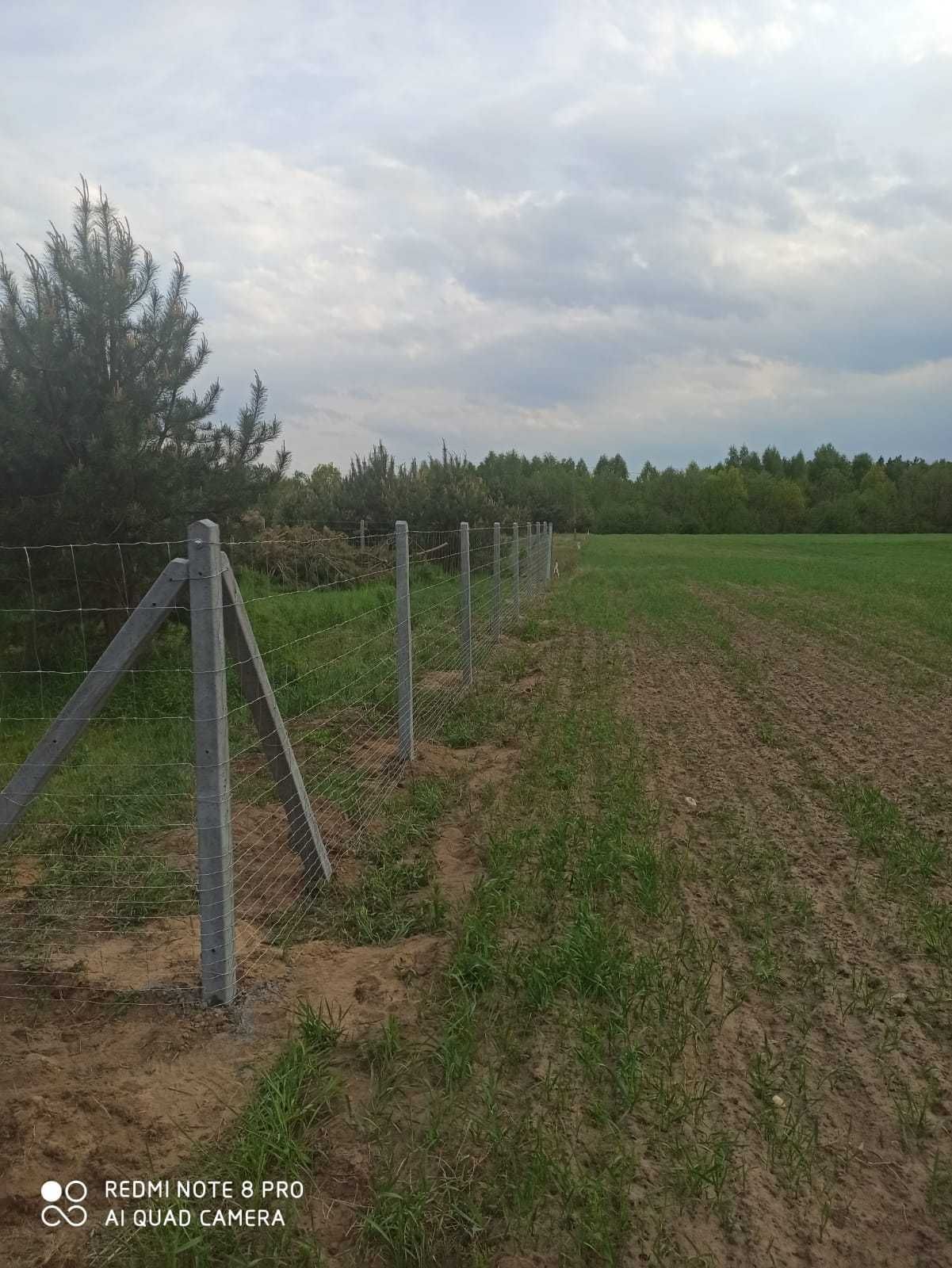 Ogrodzeni z siatki leśnej, słupki betonowe Sochaczew i okolice