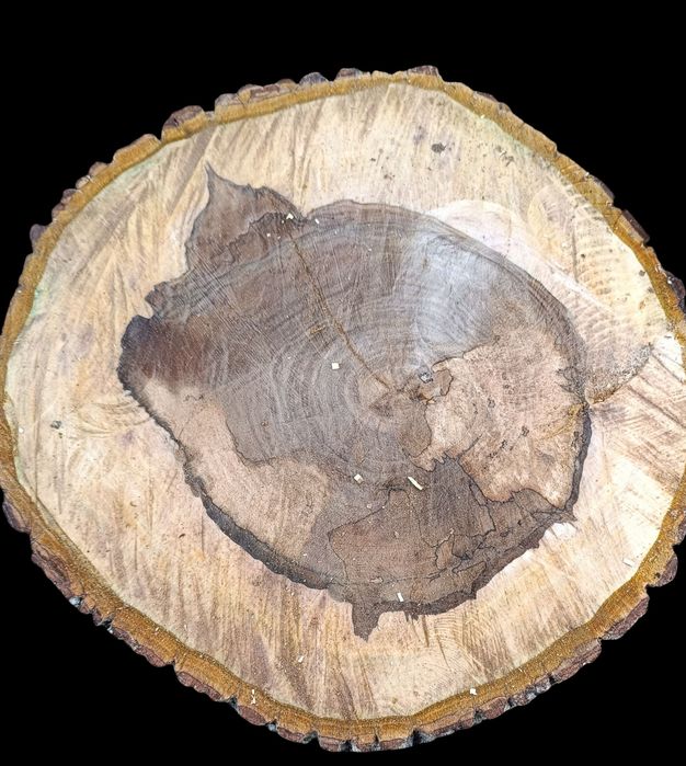 Plastry orzecha włoskiego.