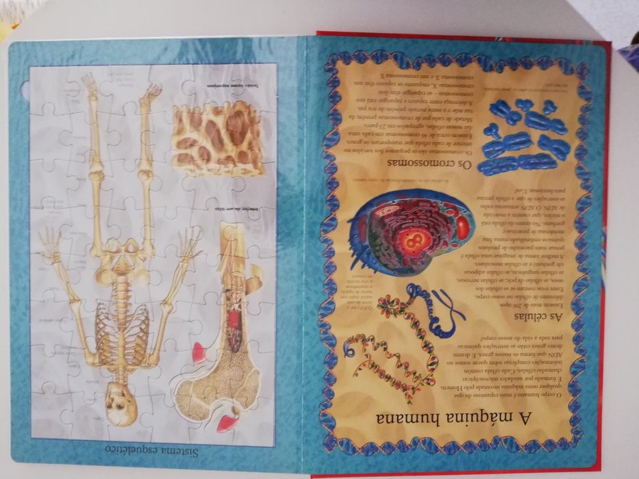 Livro Jogos tabuleiro, Livro Puzzle Corpo Humano.