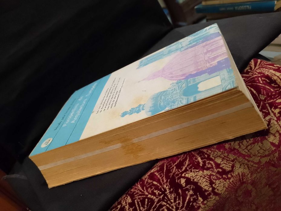 Perspectiva da Arquitectura Europeia-Nikolaus Pevsner "Livro Pelicano"