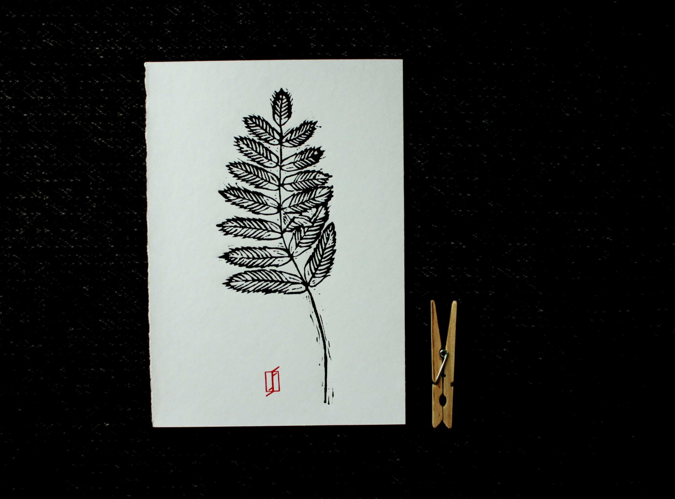 Linoryt, grafika artystyczna – Liść jarzębiny
