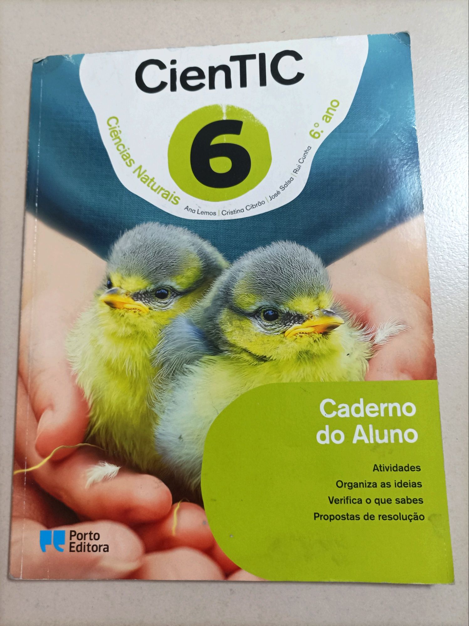 Cadernos de Atividades - 6° Ano (Livro Aberto / Cientic / High Five)