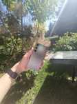 Samsung s24 256 gb Gwarancja do stycznia