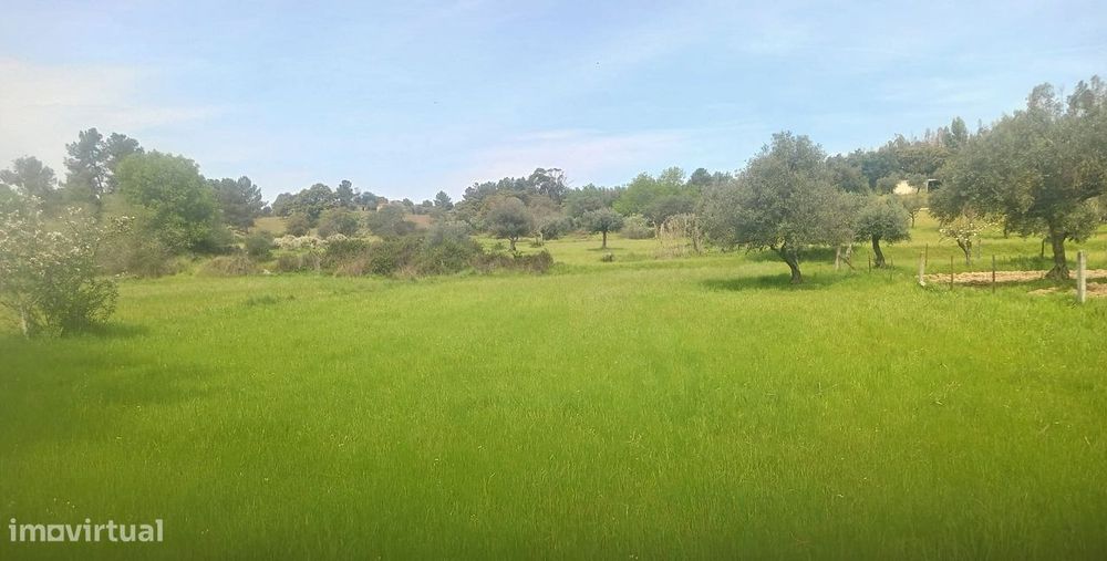 Terreno