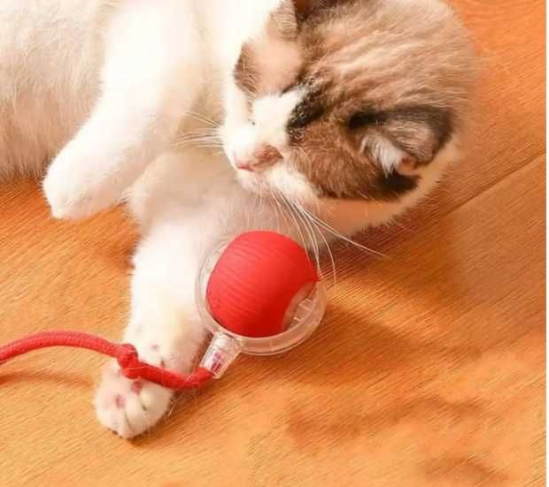 Автоматический мячик для кошек с светодиодной подсветкой и хвостиком