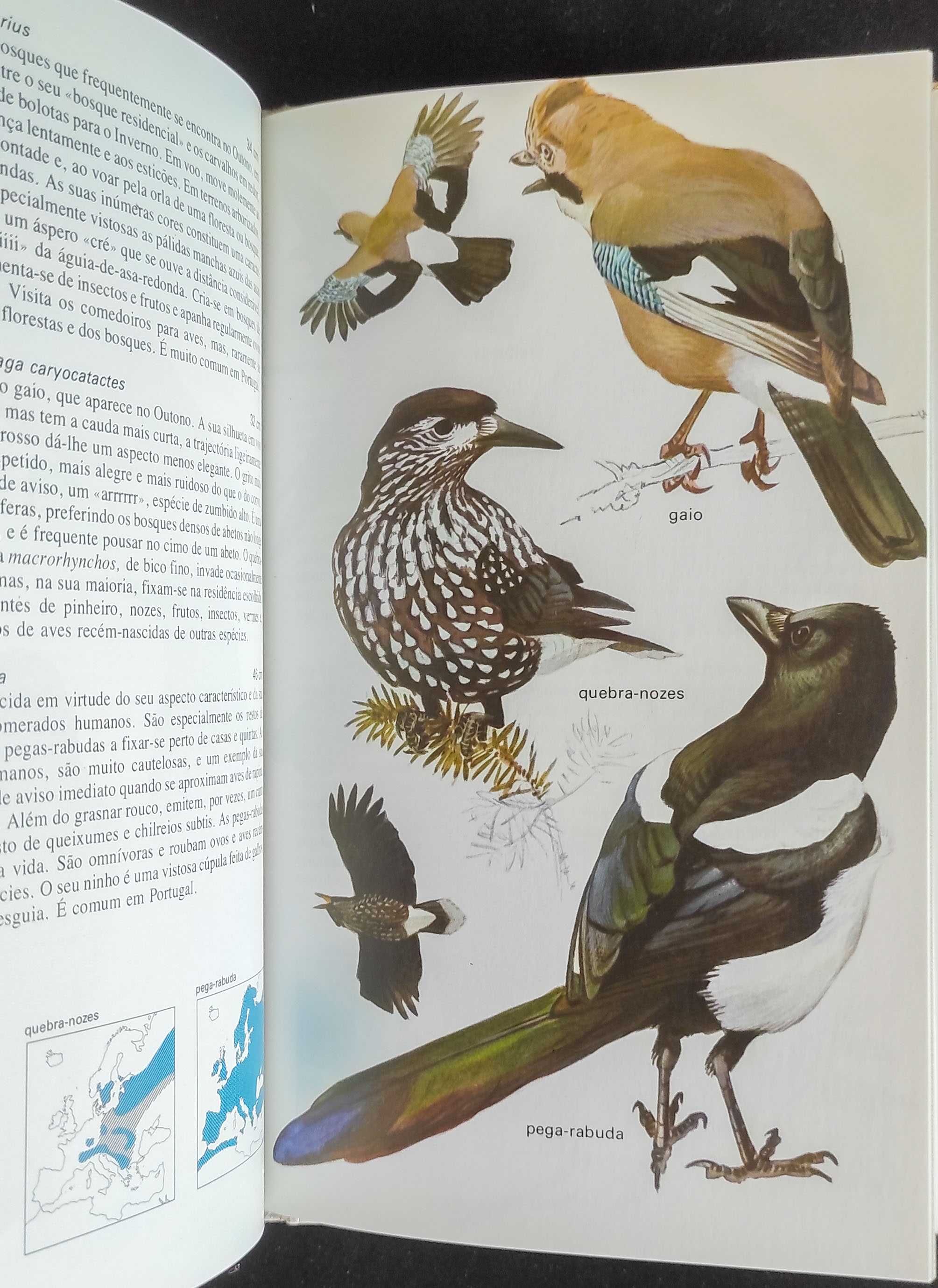 Os Pássaros - Bosques, parques e jardins, de Lars Jonsson