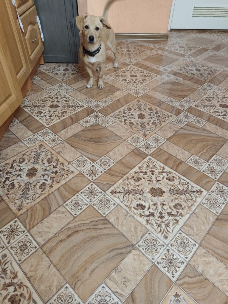 Oddam w dobre ręce
