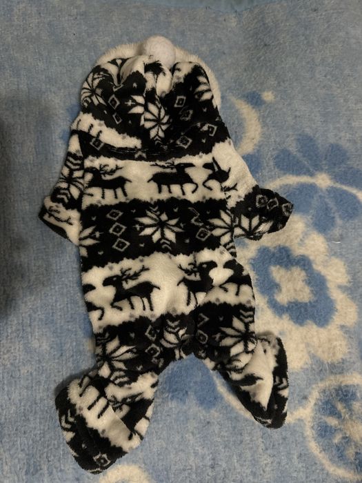 Одяг для тварин.