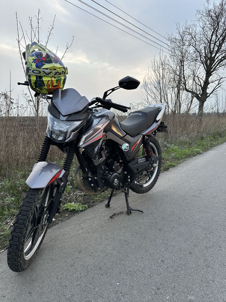 Продам, мстанг фортуна 200