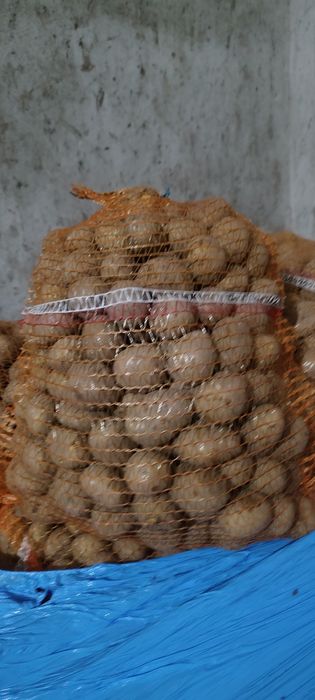 Sprzedam Soraya Queen Anna kaliber 38-45