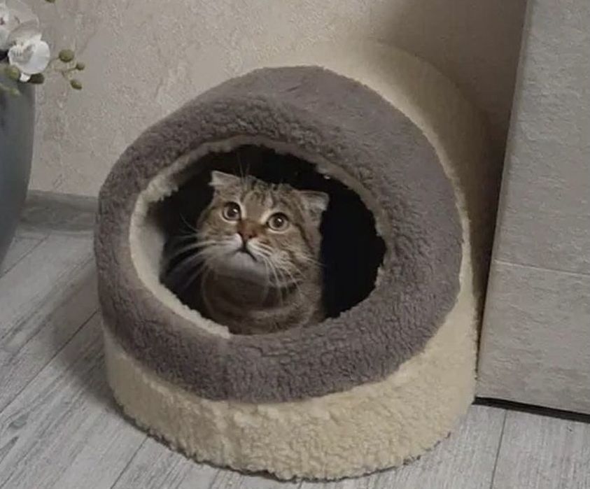 Хутряний будиночок домик лежак хатинка лежанка для котика собачки