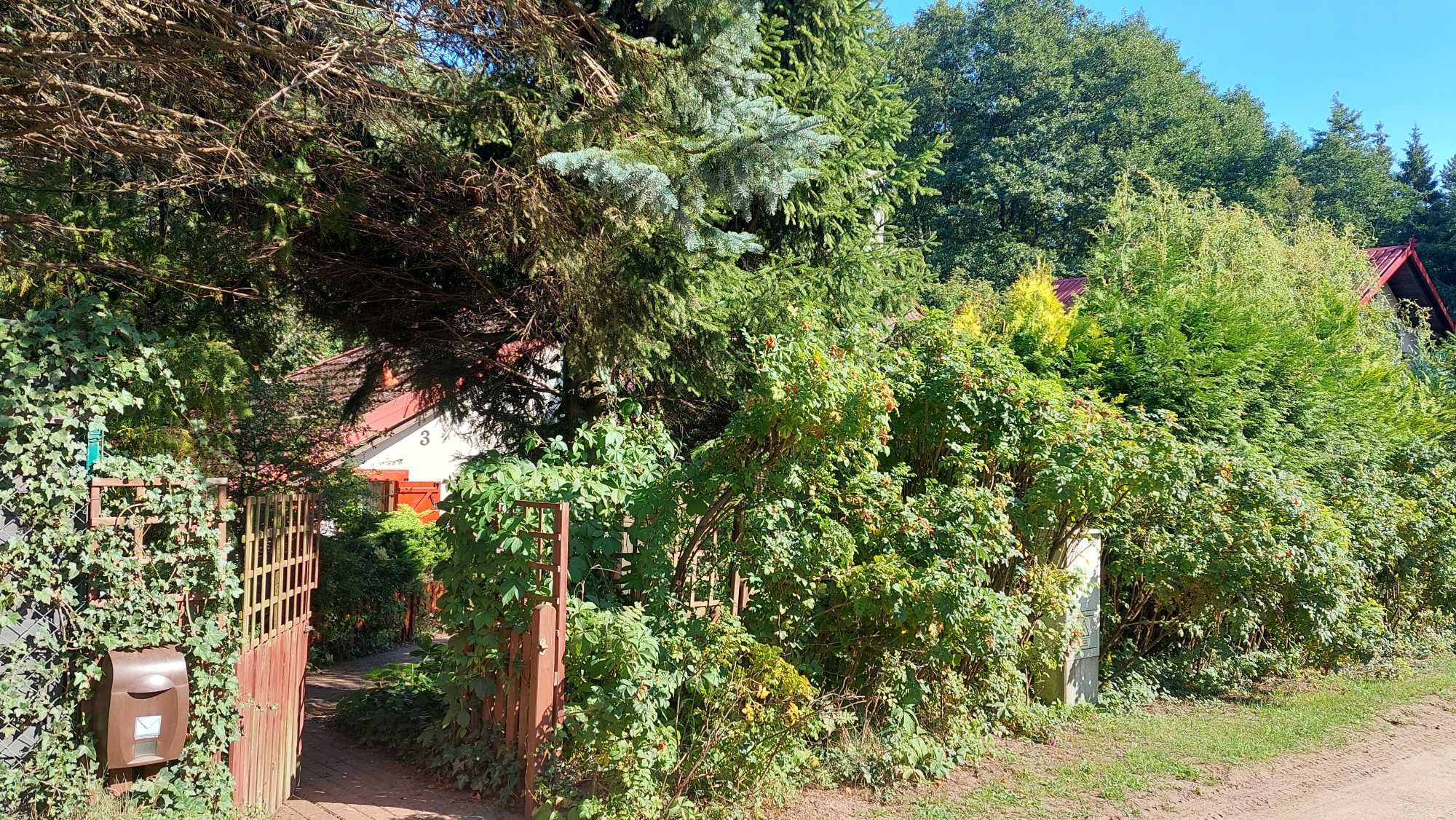 Odosobnienie nad morzem-ogrodzony domek