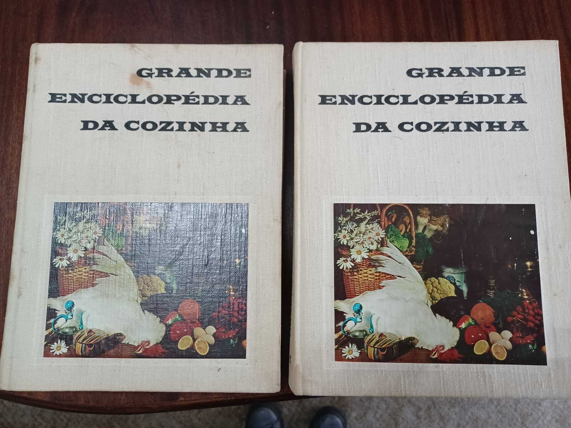 Grande Enciclopédia da Cozinha - Maria de Lourdes Modesto